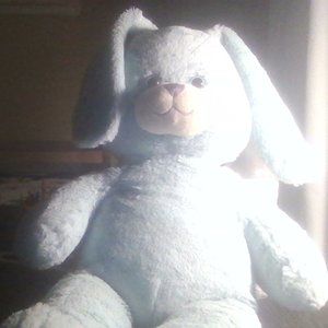 snow bunny bear